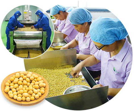 宏光-科學(xué)質(zhì)量管理體系，確保產(chǎn)品品質(zhì)